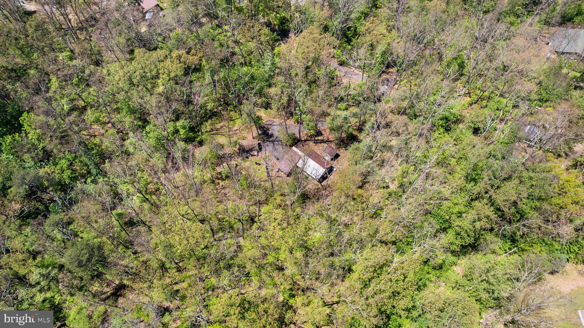 GLENWOOD FOREST - Residential