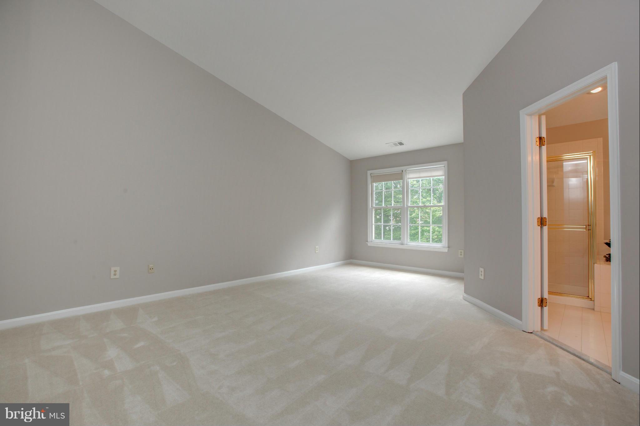 COURTHOUSE WOODS - Residential