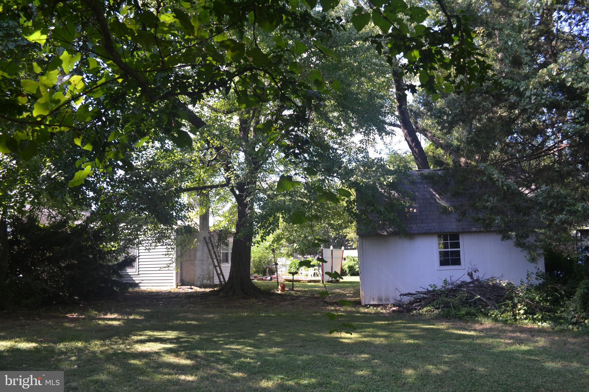 706 S DOGWOOD COURT