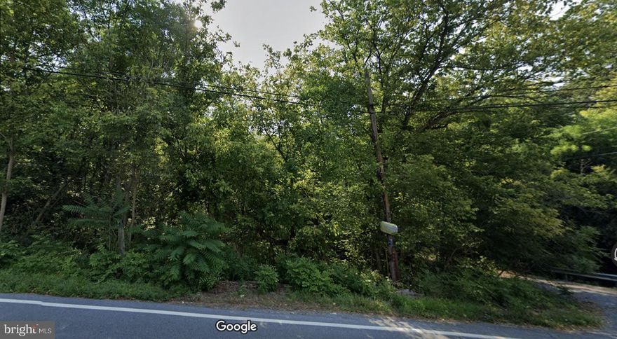 SELLER FINANCING AVAILABLE!
Legal Description:
Lt 1/4 Ac E/S New London
GPS Coordinates:
39.4206000, -77.254207
Zoning:
Residential (R1)