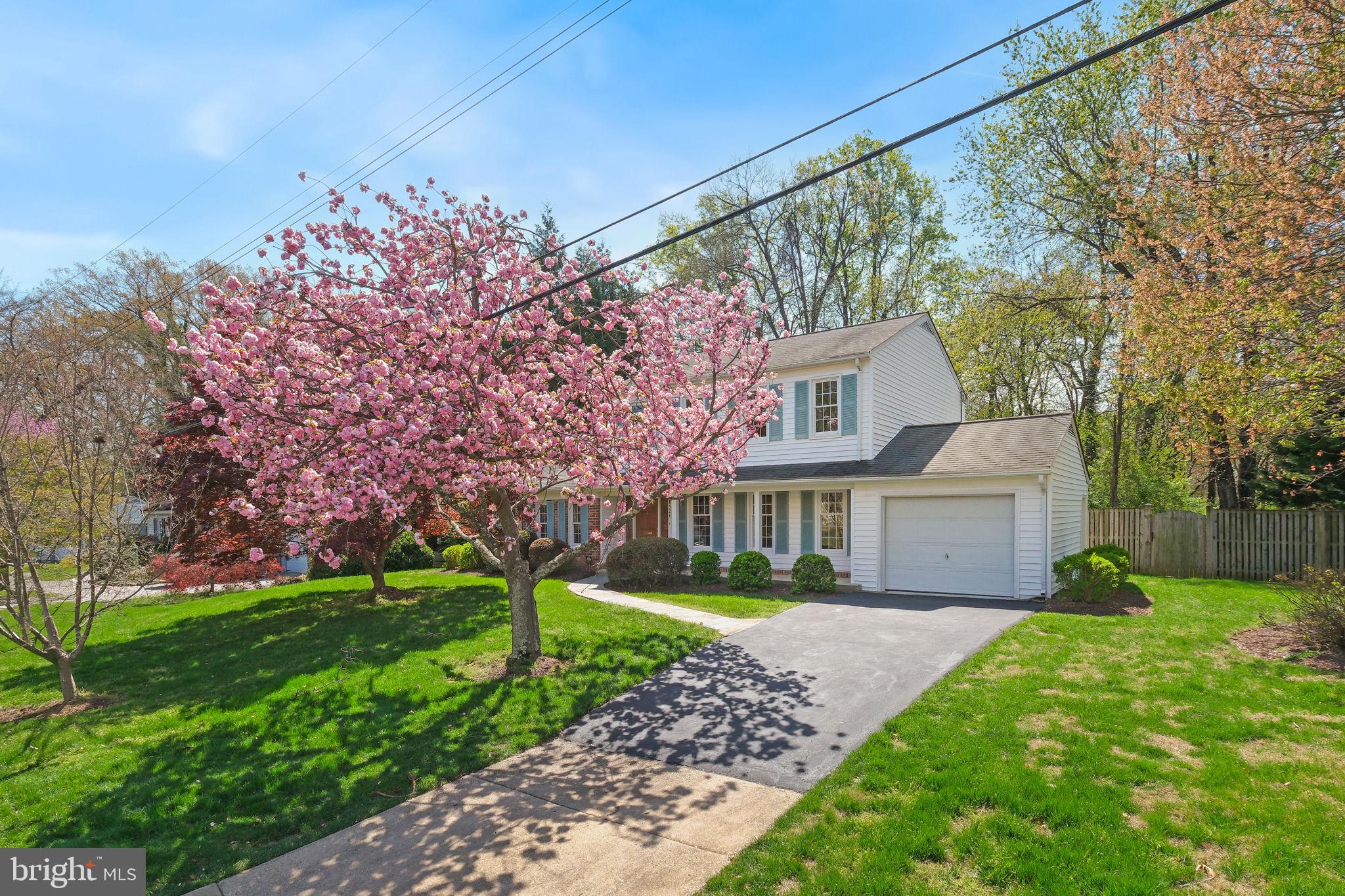 MONTGOMERY SQUARE - Residential