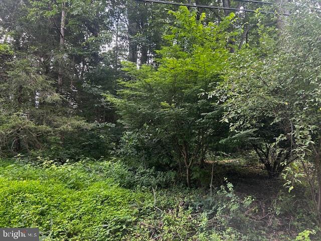 35 SKYLARK TRAIL