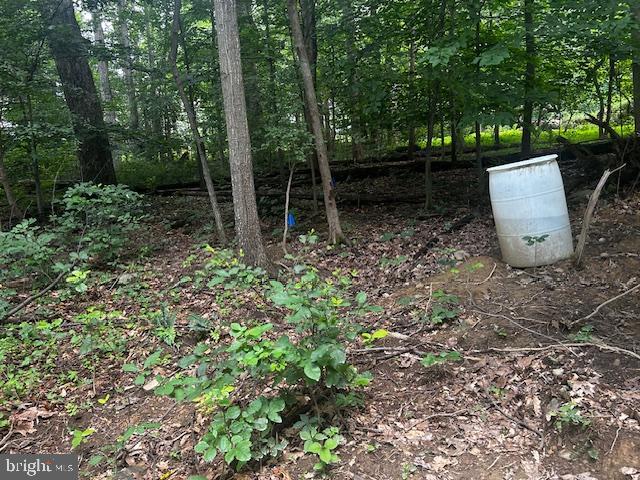 35 SKYLARK TRAIL