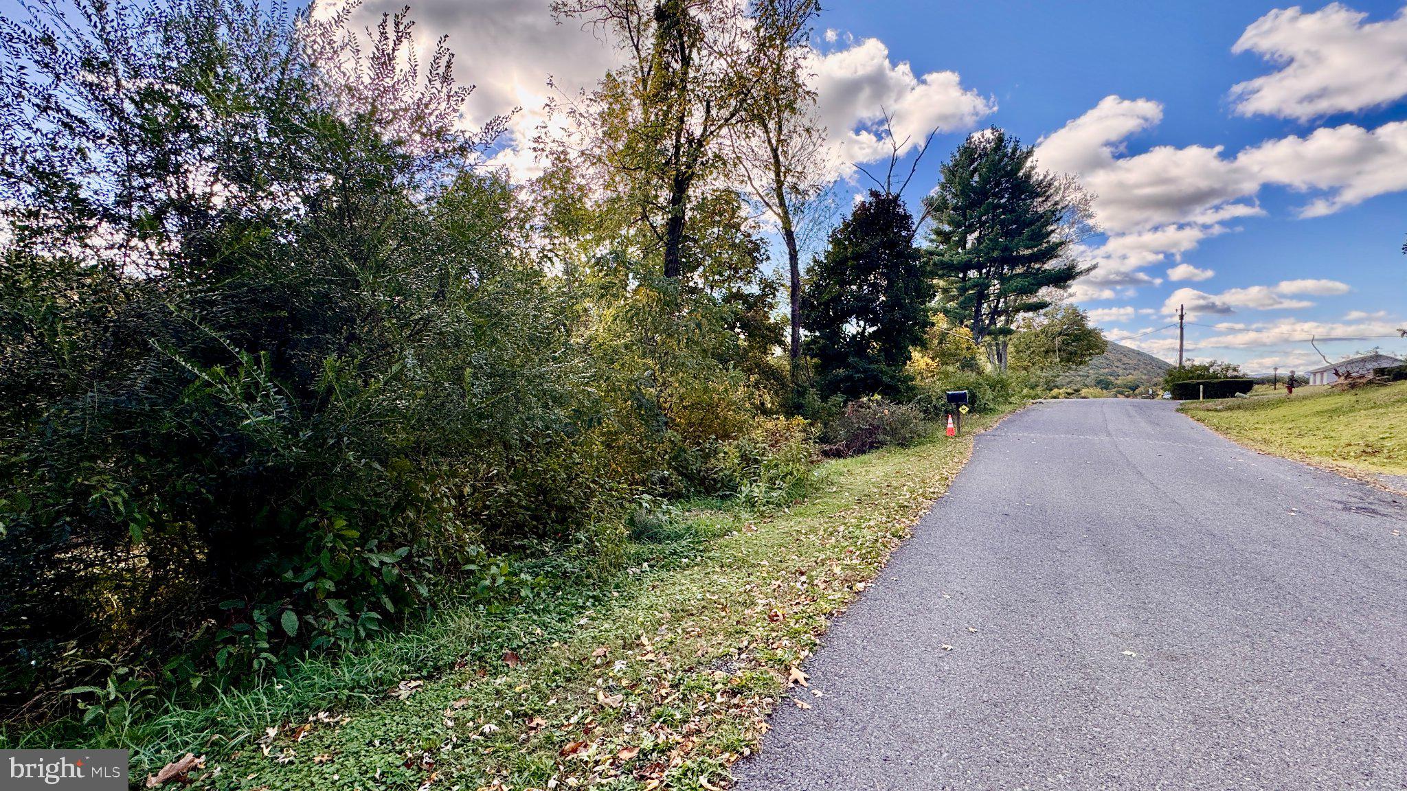 WHITE OAK DRIVE E