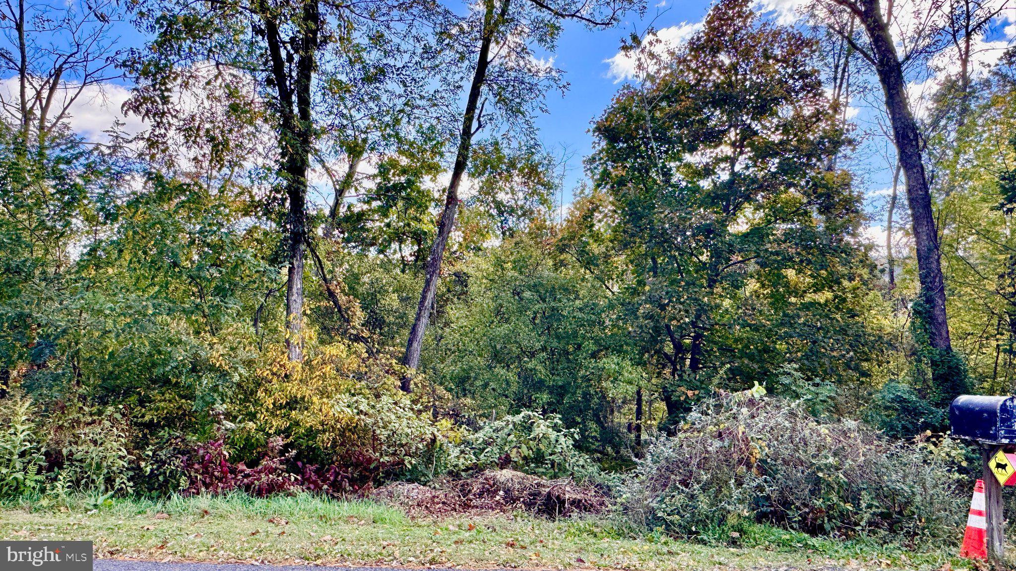 WHITE OAK DRIVE E