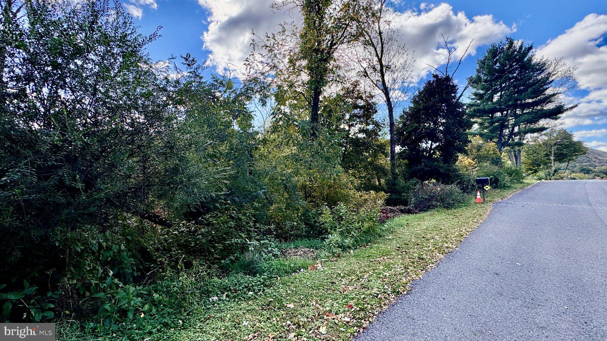 WHITE OAK DRIVE E