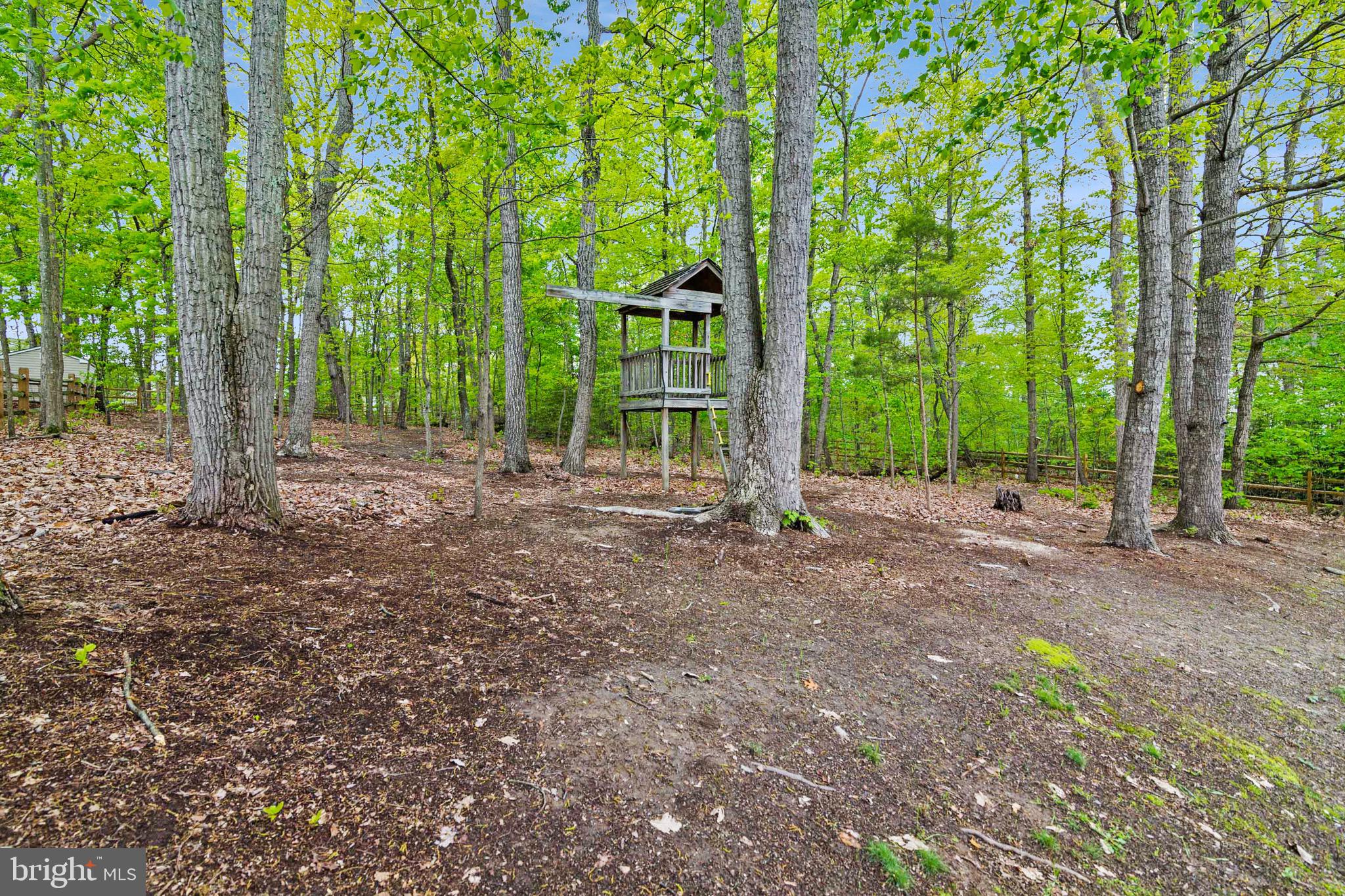 CARDINAL FOREST - Residential