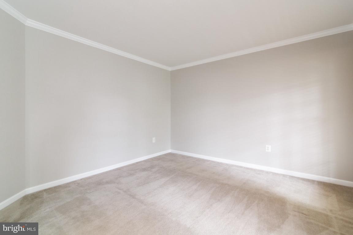 CARDINAL FOREST - Residential