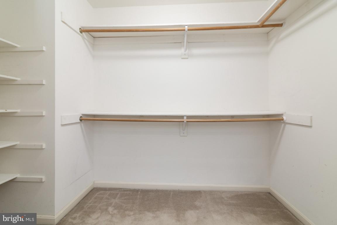 CARDINAL FOREST - Residential