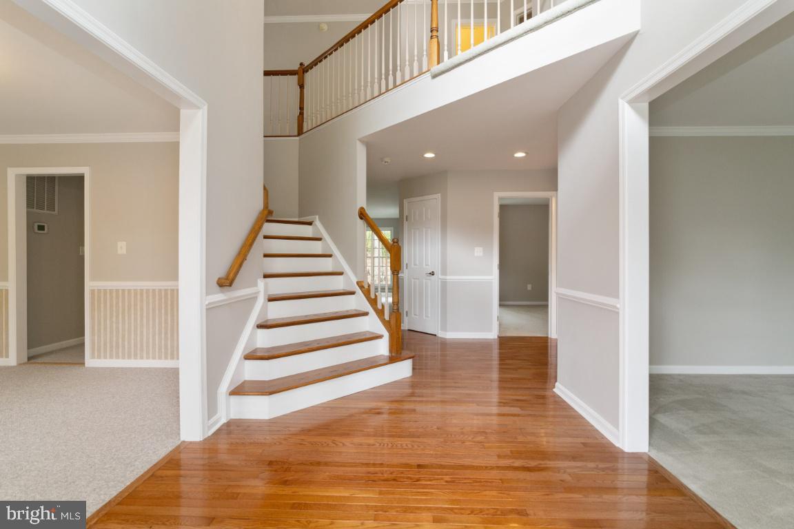 CARDINAL FOREST - Residential