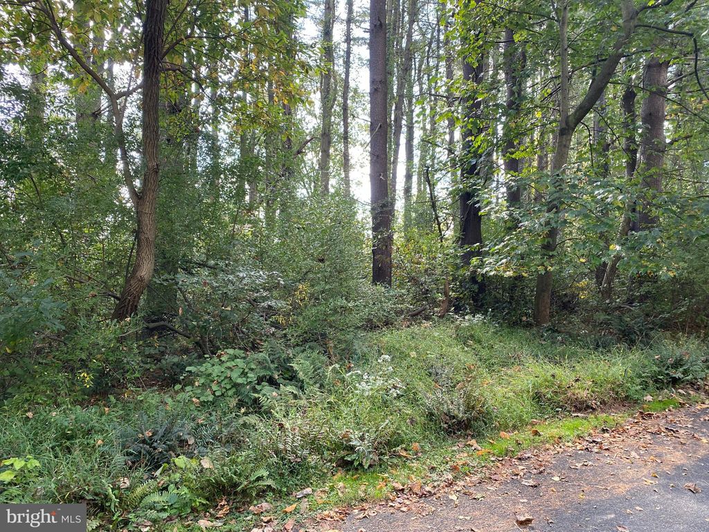 Photo of Lot 16 Londonderry Lane, NOTTINGHAM, PA 19362 (MLS # PALA2077594)