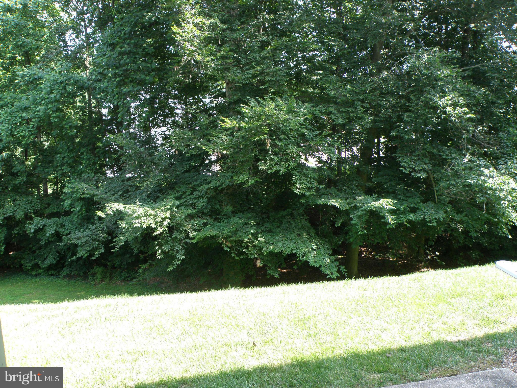 SECOND ANTIETAM - Residential