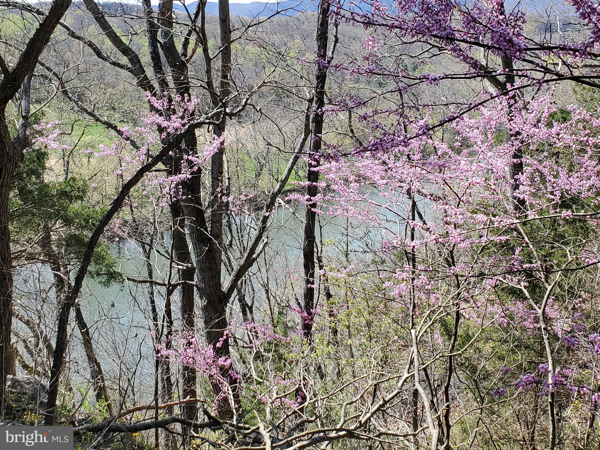 FOX HILL FARMS - Residential