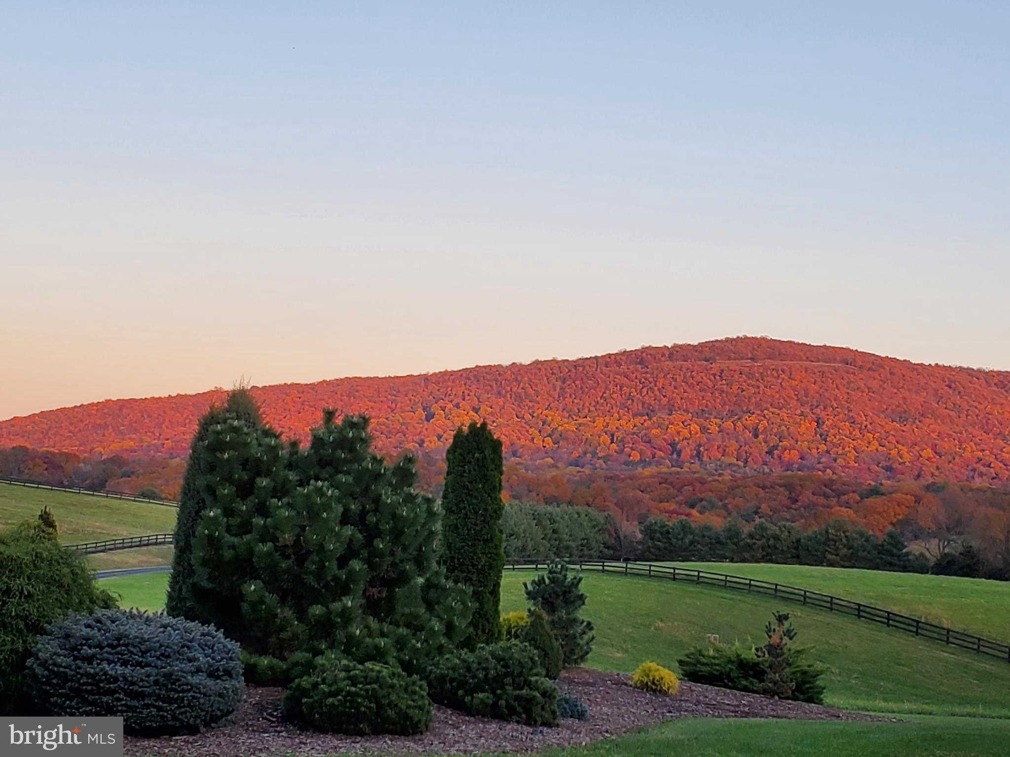 FOX HILL FARMS - Residential