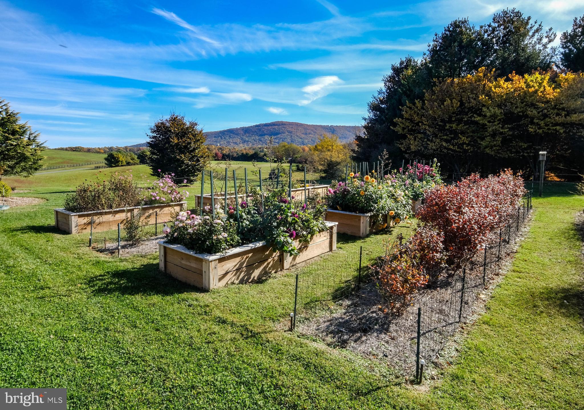 FOX HILL FARMS - Residential