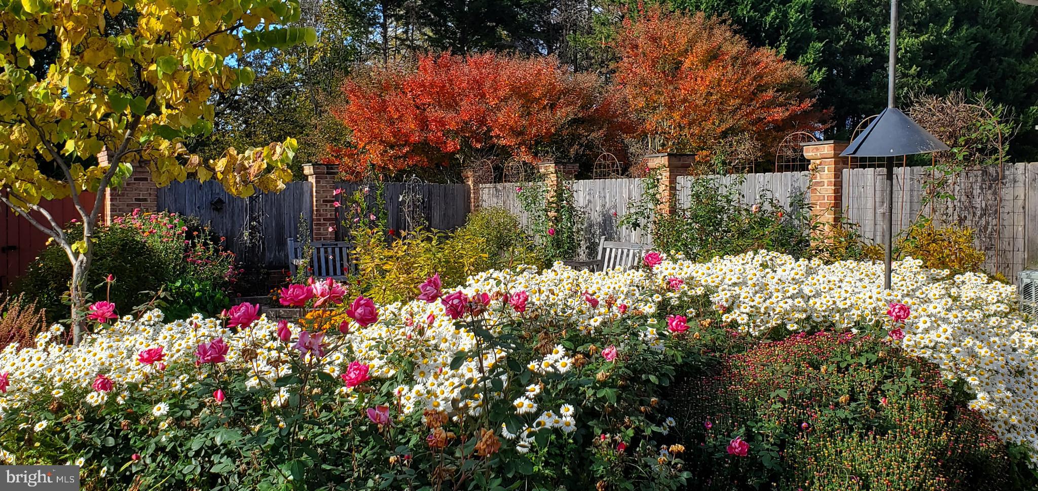 FOX HILL FARMS - Residential