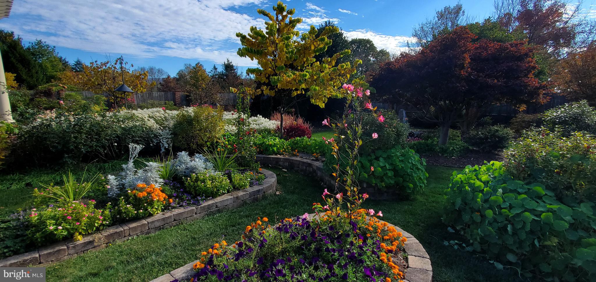 FOX HILL FARMS - Residential