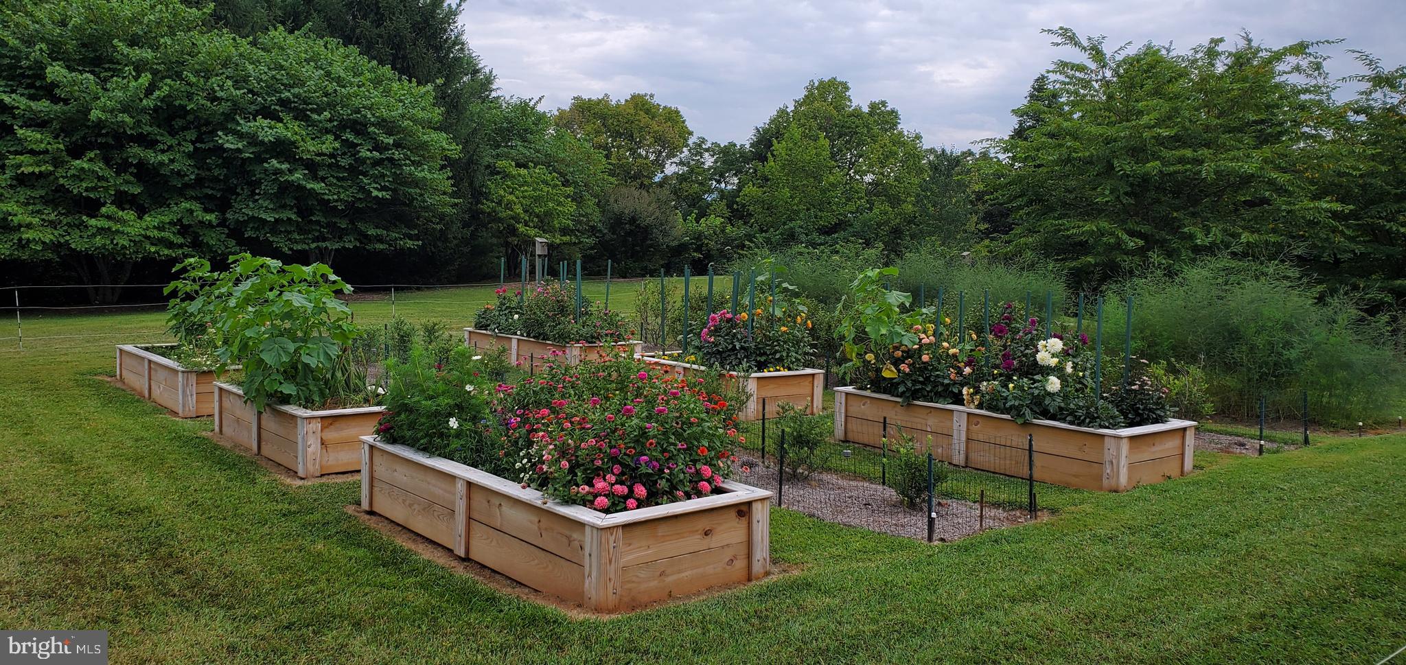 FOX HILL FARMS - Residential