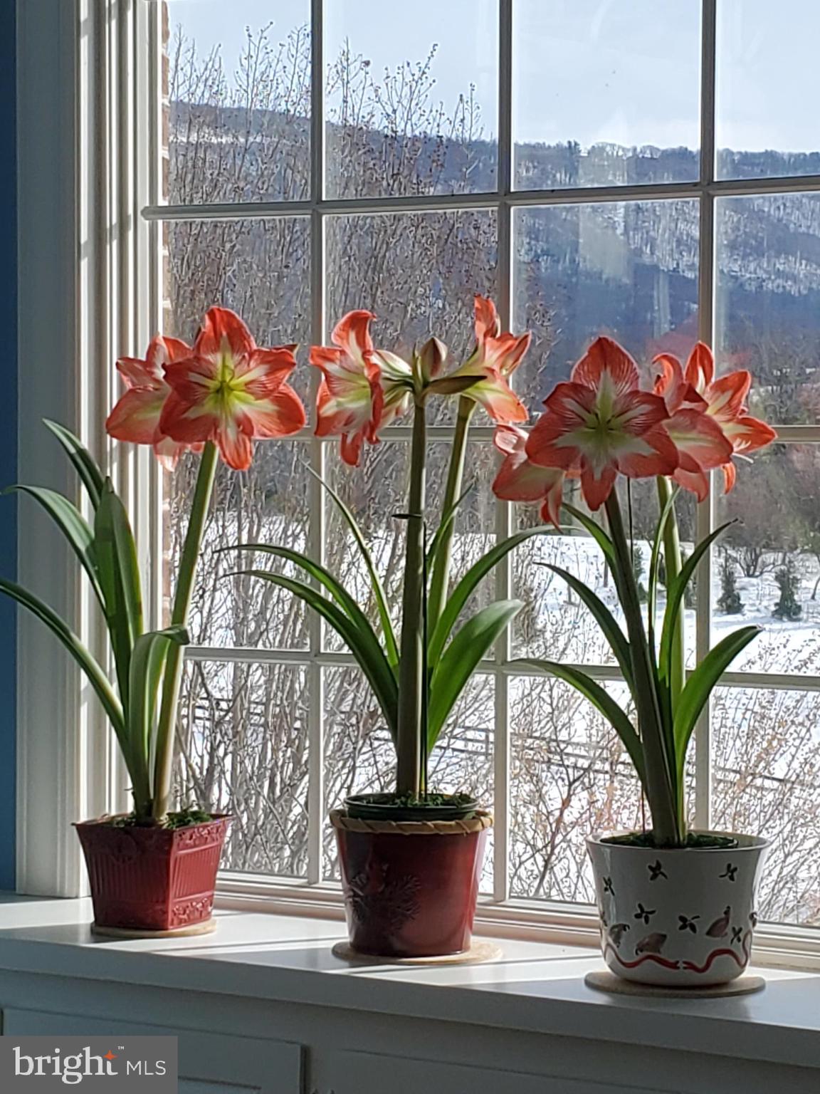 FOX HILL FARMS - Residential