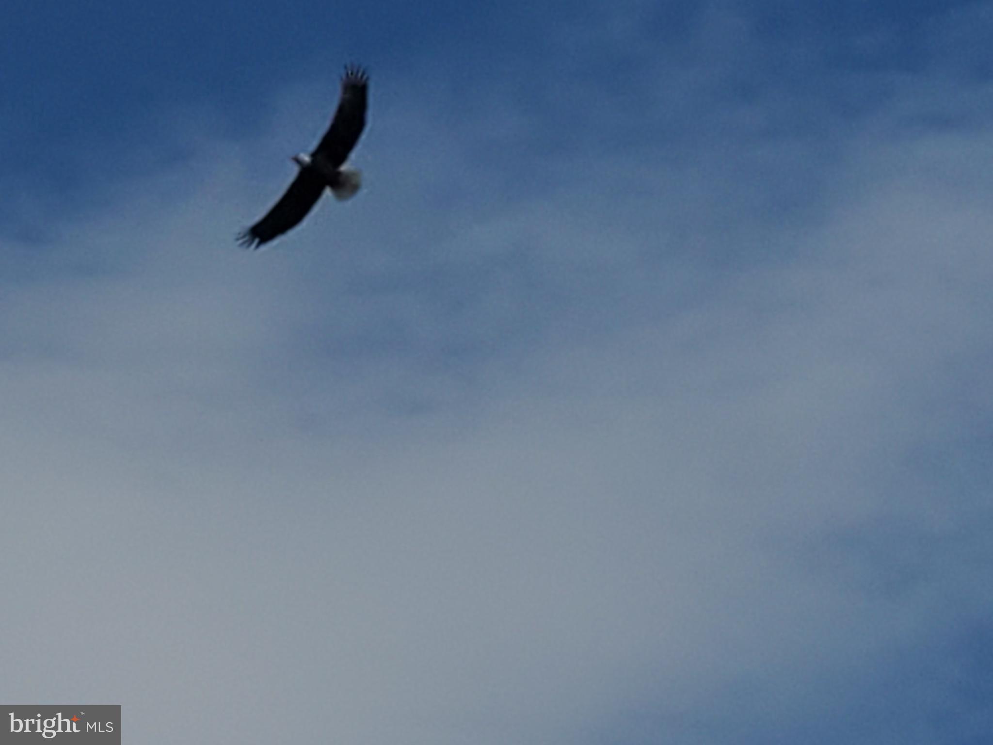 FOX HILL FARMS - Residential