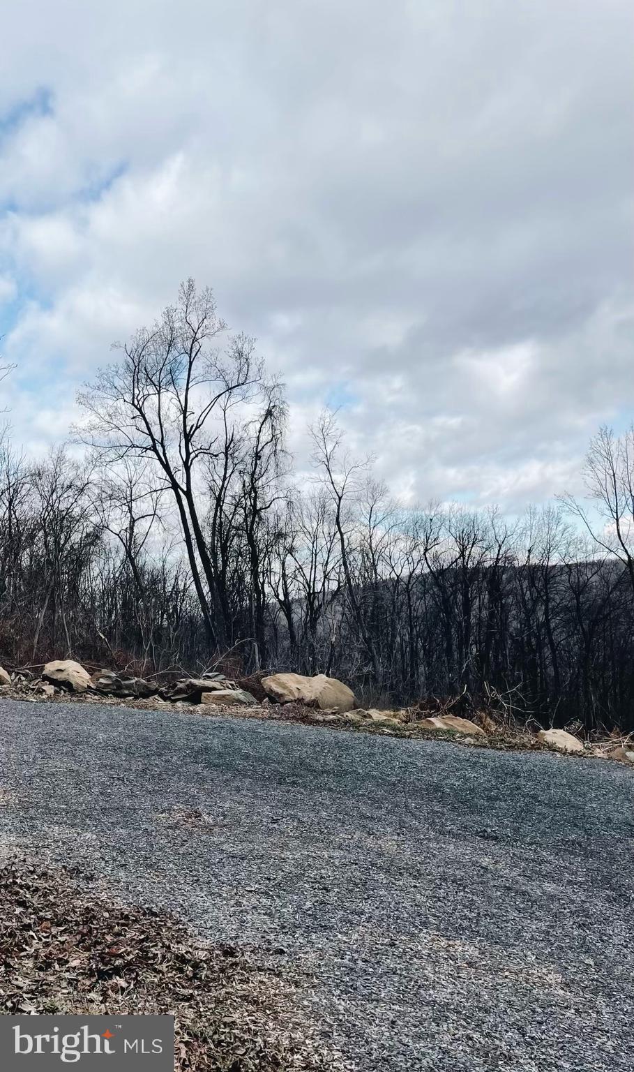 MOSBY MOUNTAIN ESTATES - Land