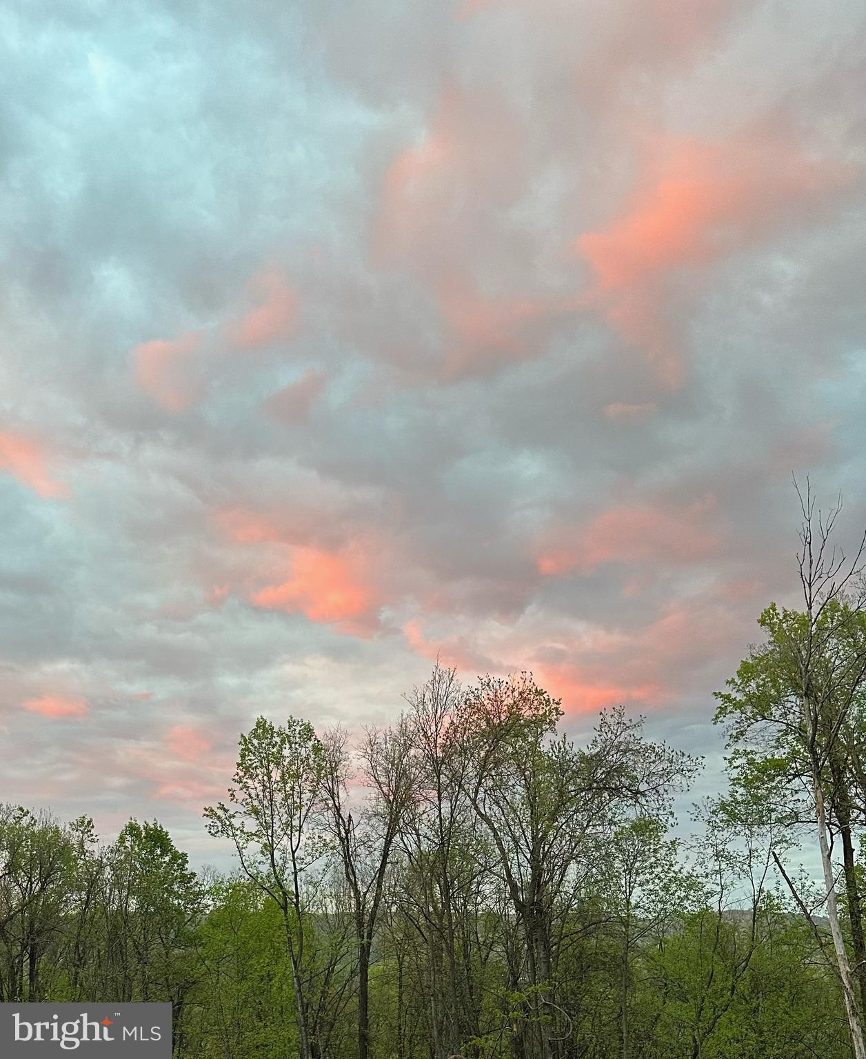 MOSBY MOUNTAIN ESTATES - Land