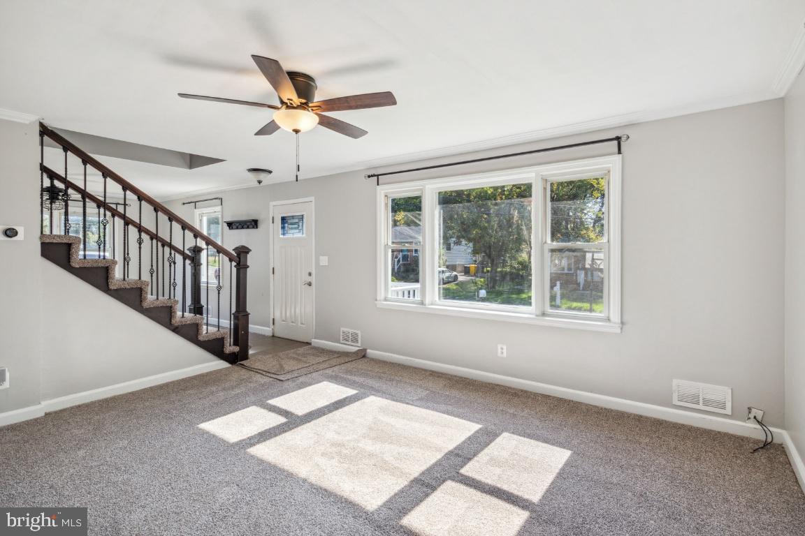 WOODLAWN HEIGHTS - Residential