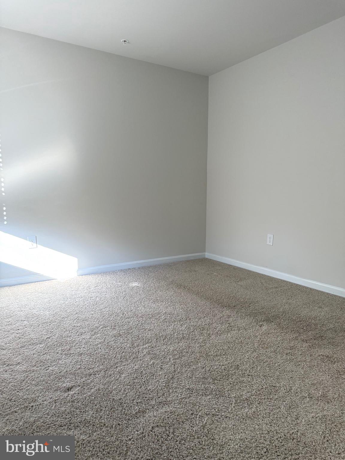 SASSAFRAS MEADOWS - Residential