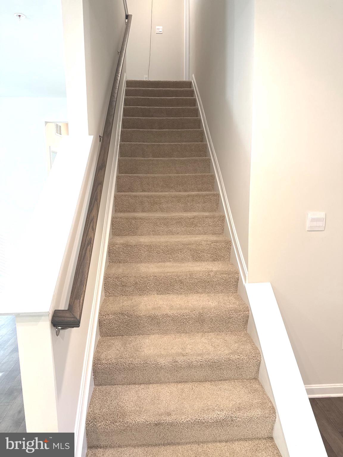 SASSAFRAS MEADOWS - Residential