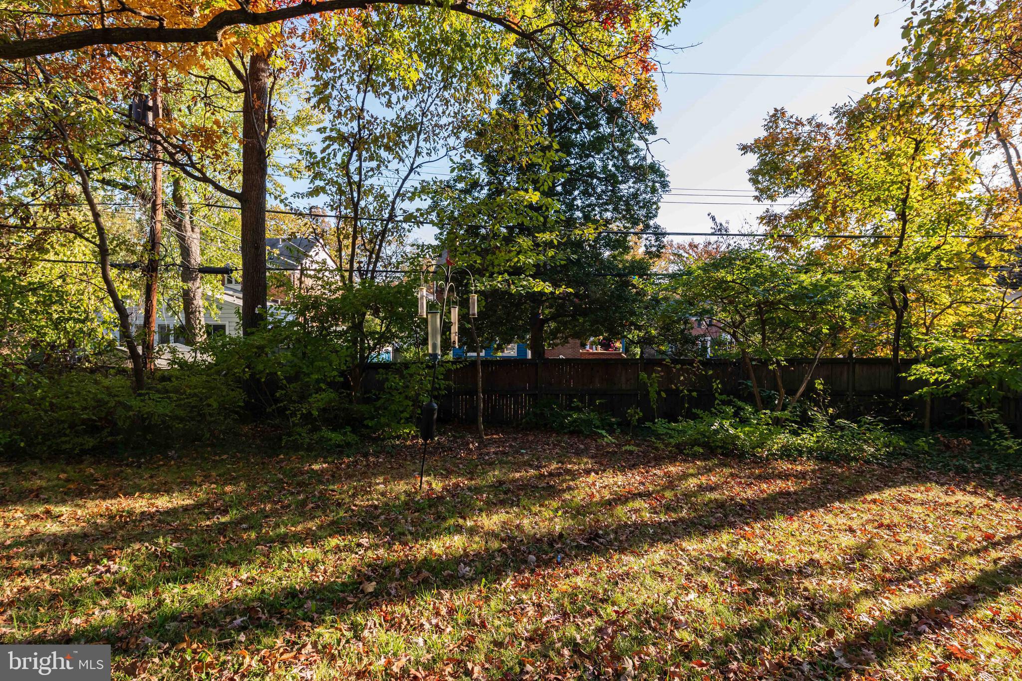 ARLINGTON FOREST - Residential Lease