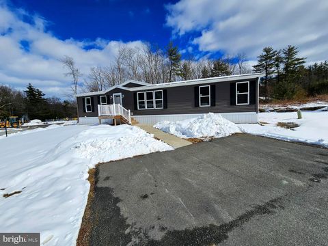 99 ANGEL DRIVE NEW RINGGOLD PA 17960