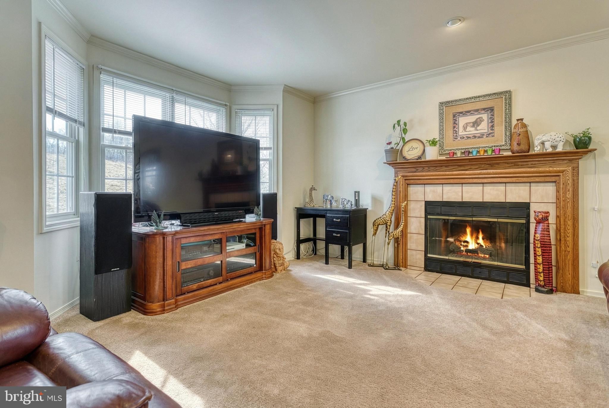 MOUNTAIN VIEW ESTATES - Residential