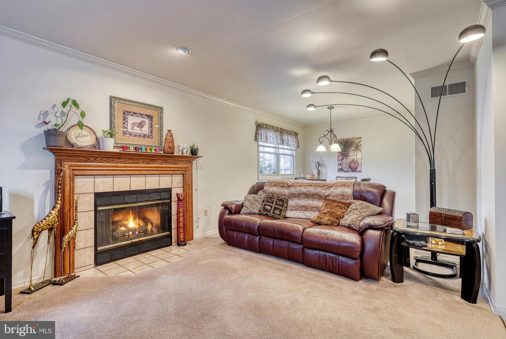 MOUNTAIN VIEW ESTATES - Residential