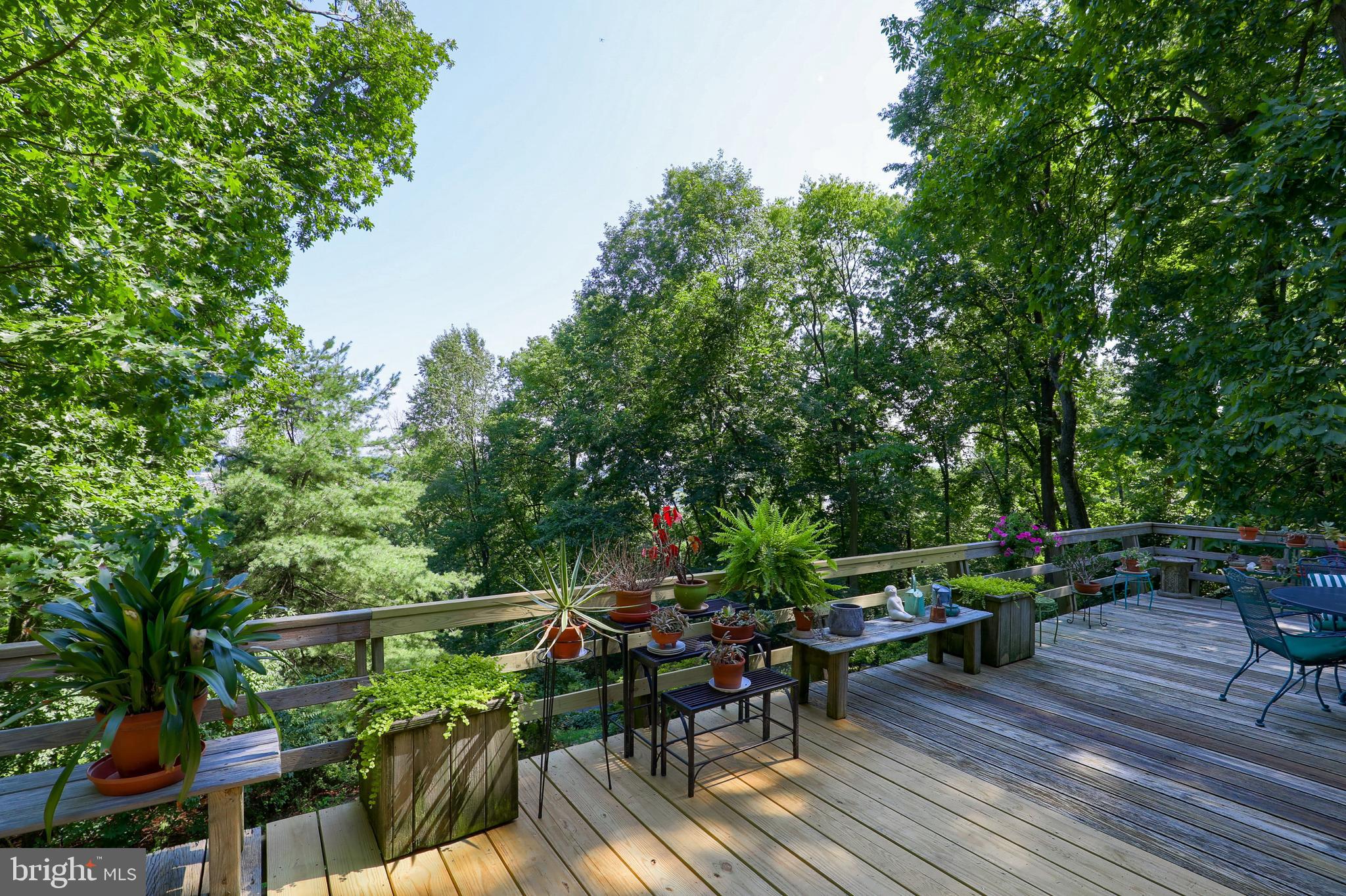 2487 CHESTNUT RIDGE DRIVE