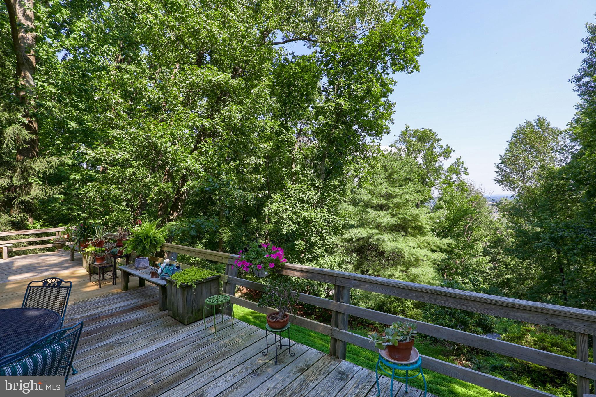 2487 CHESTNUT RIDGE DRIVE