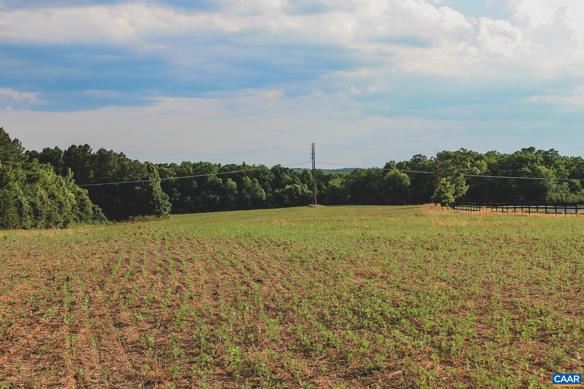 THE FARMS AT TURKEY RUN - Land