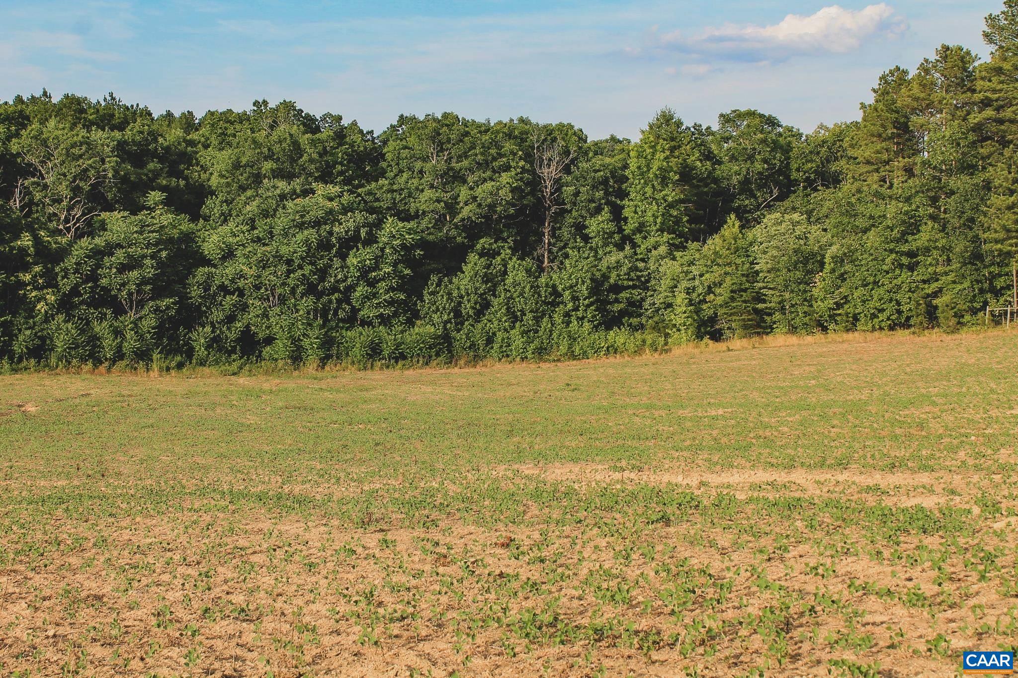 THE FARMS AT TURKEY RUN - Land
