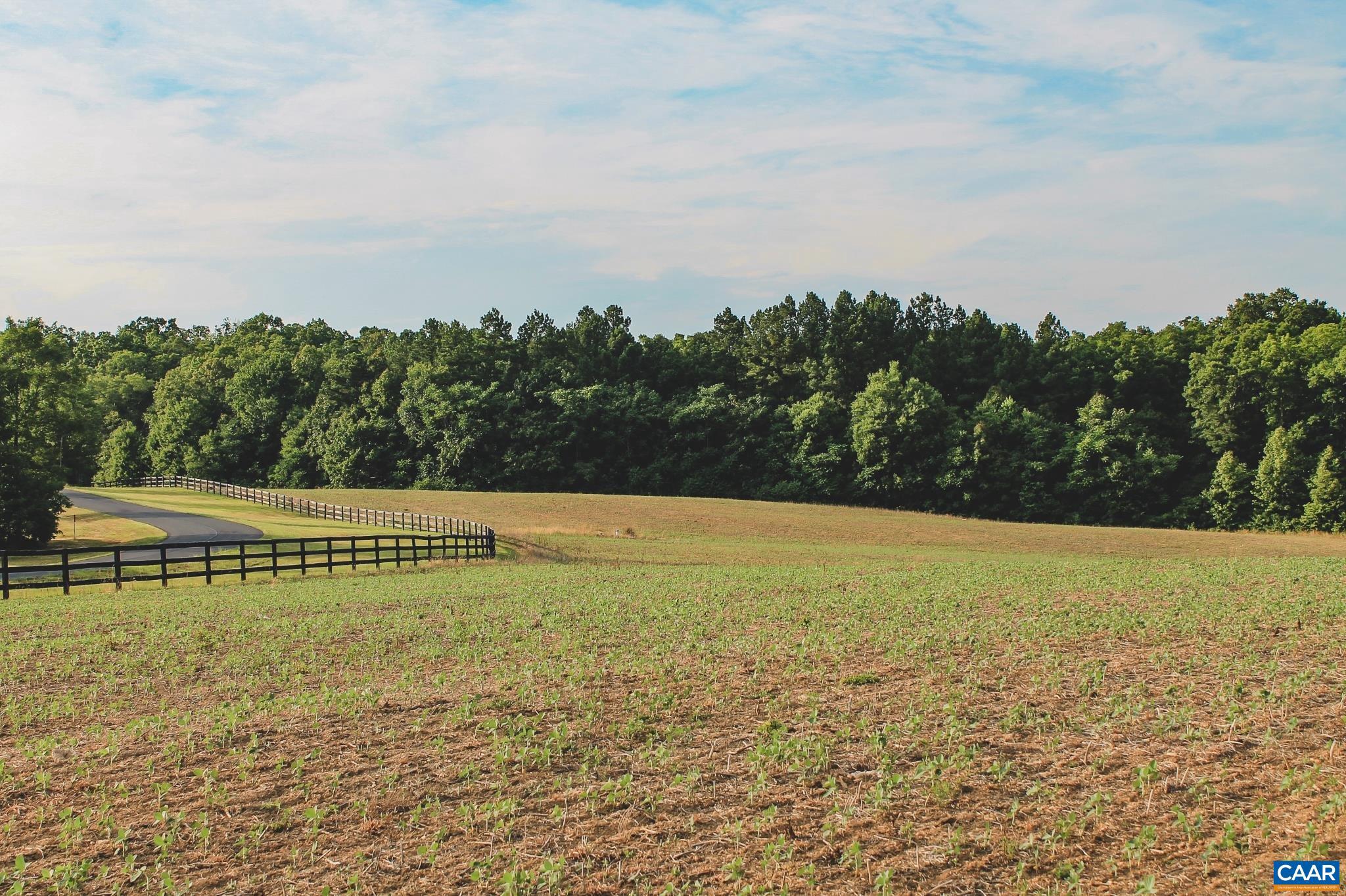 THE FARMS AT TURKEY RUN - Land