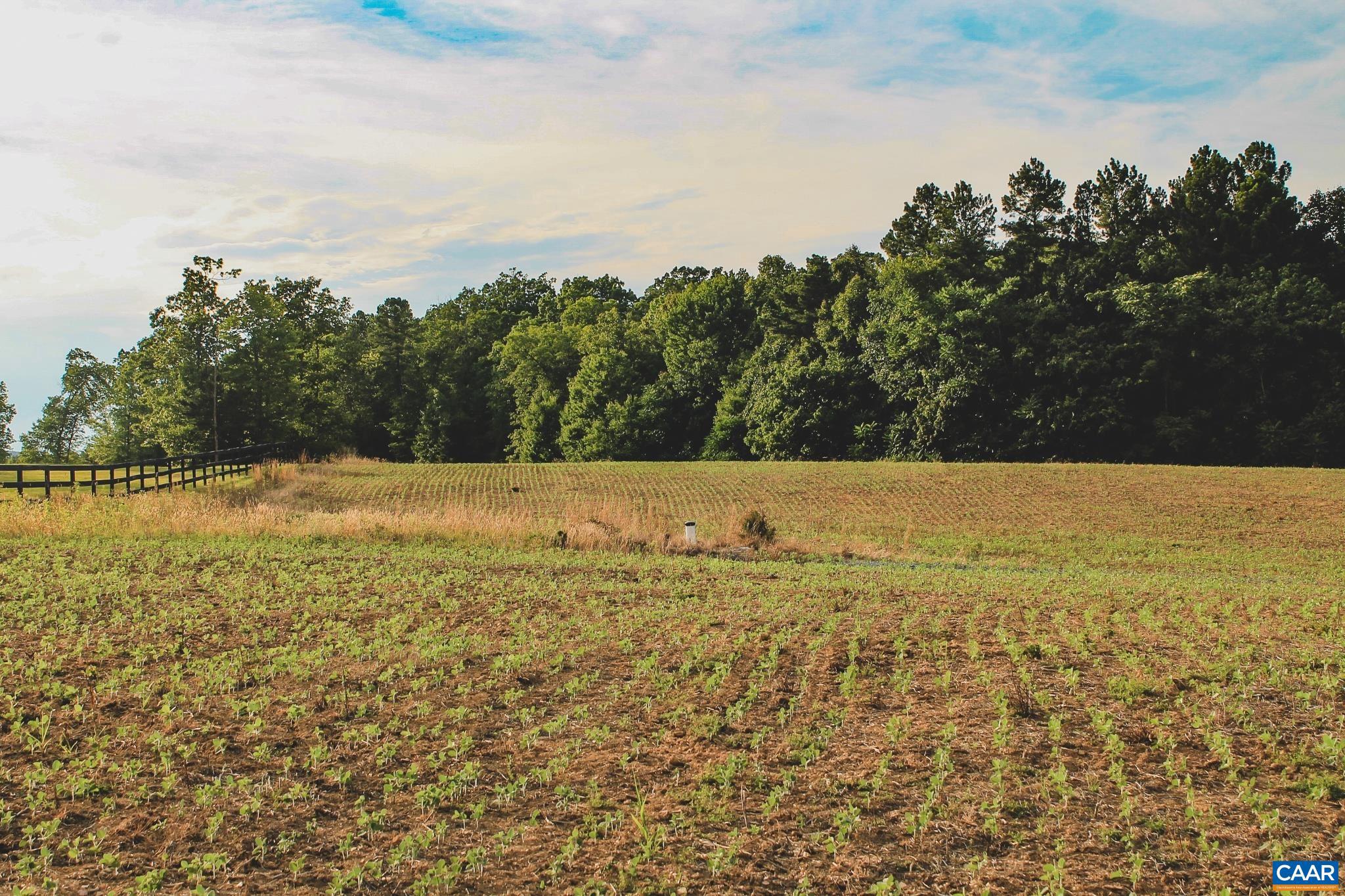 THE FARMS AT TURKEY RUN - Land