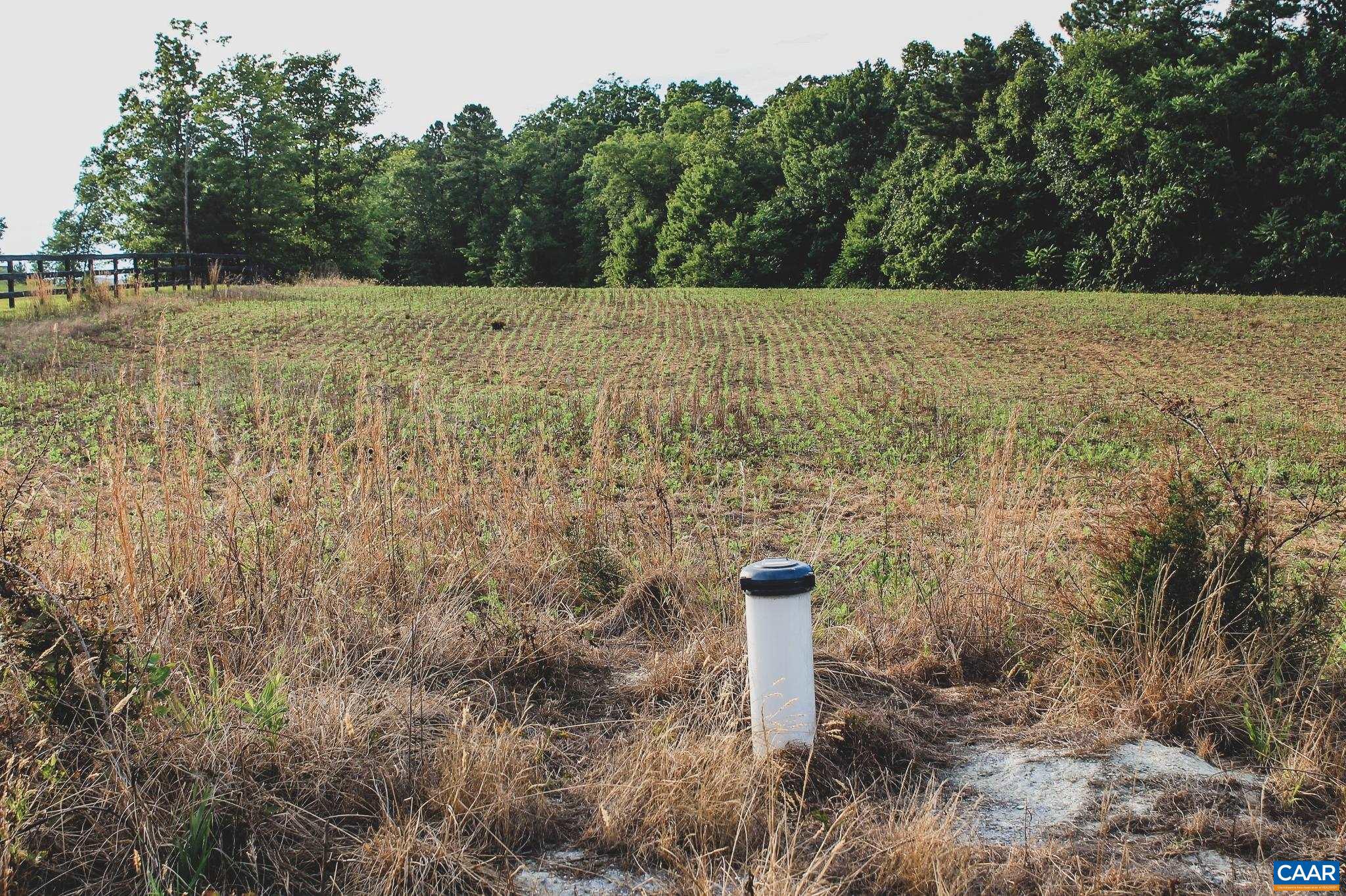 THE FARMS AT TURKEY RUN - Land