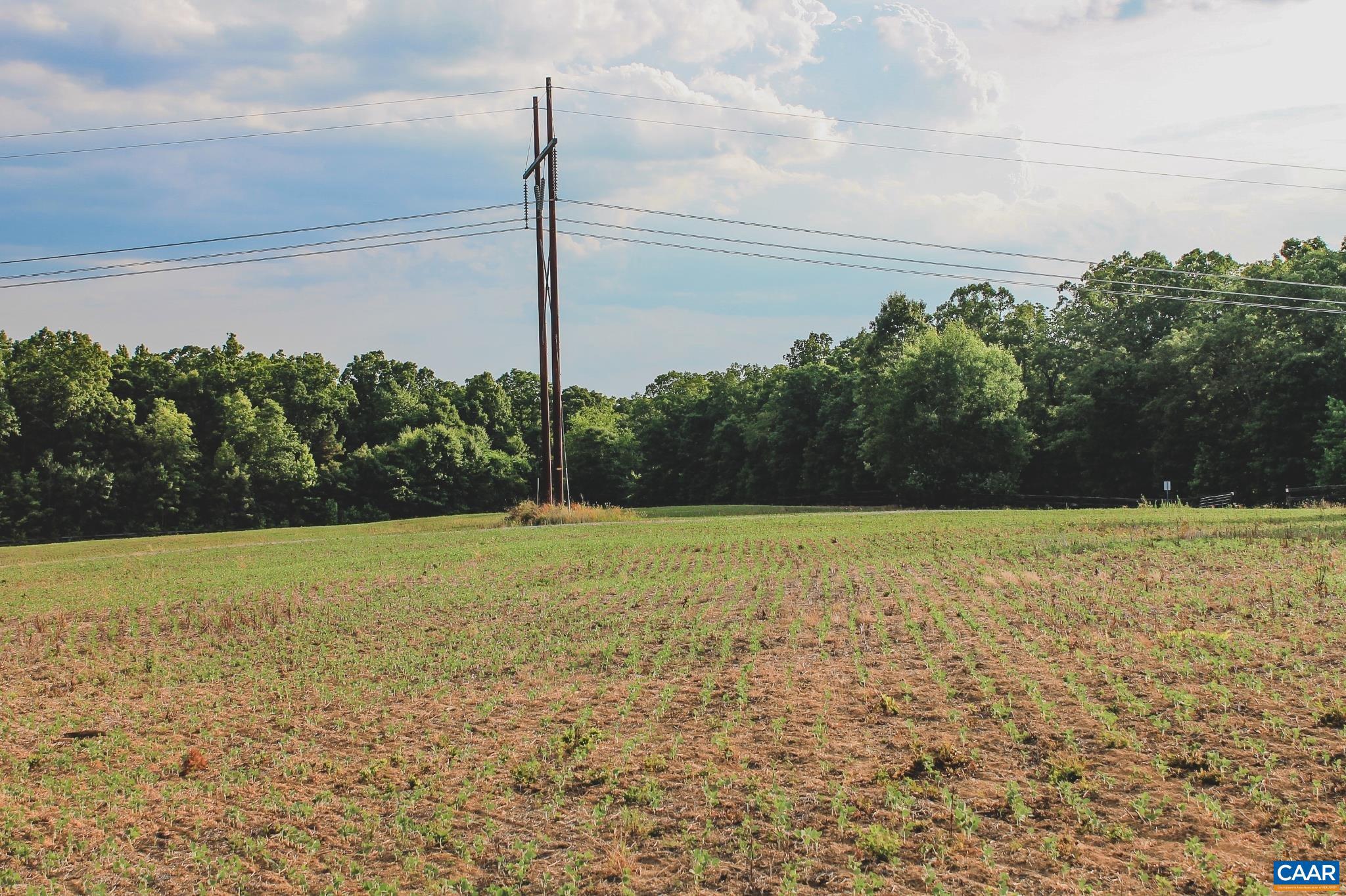 THE FARMS AT TURKEY RUN - Land