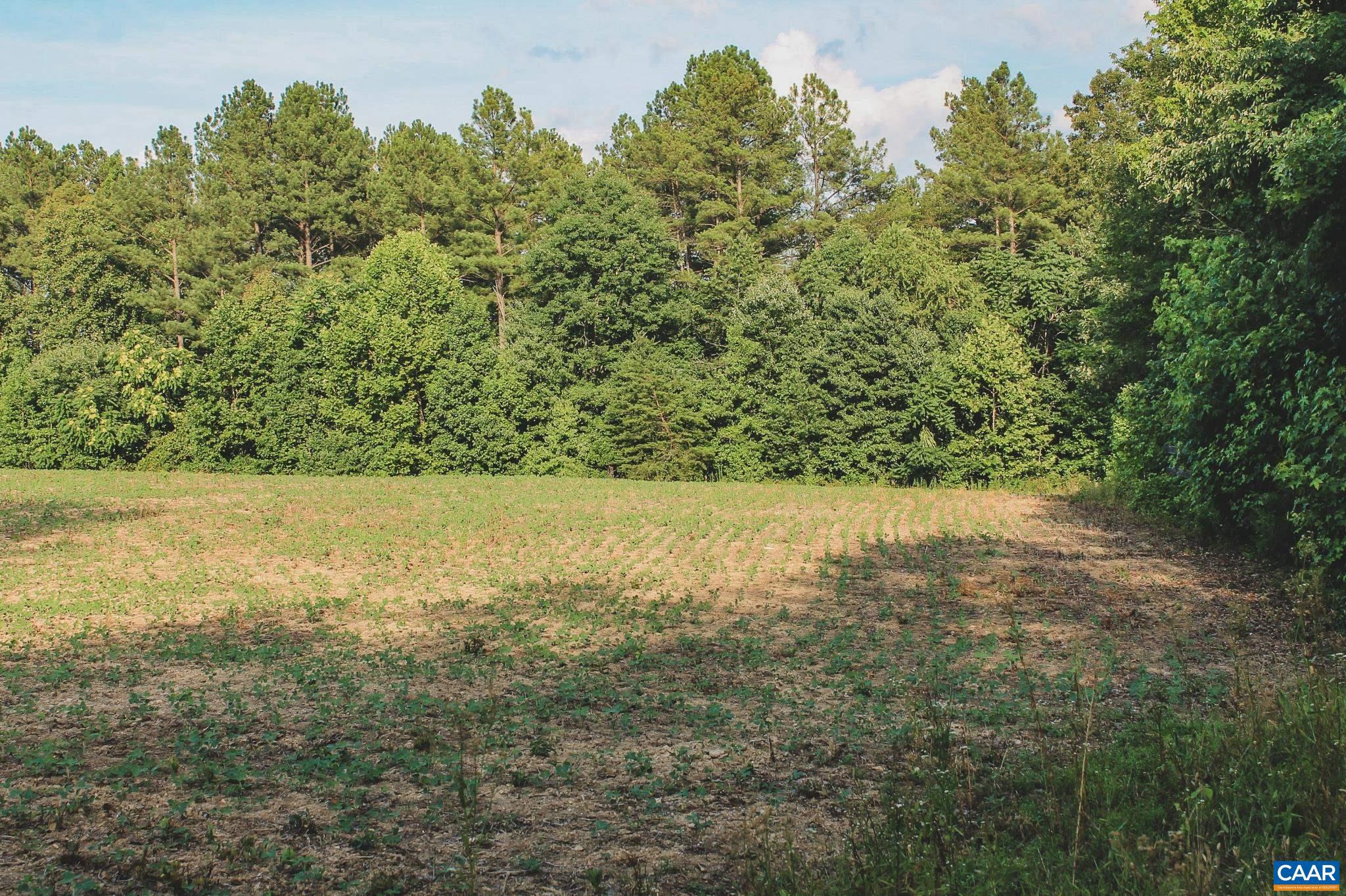 THE FARMS AT TURKEY RUN - Land