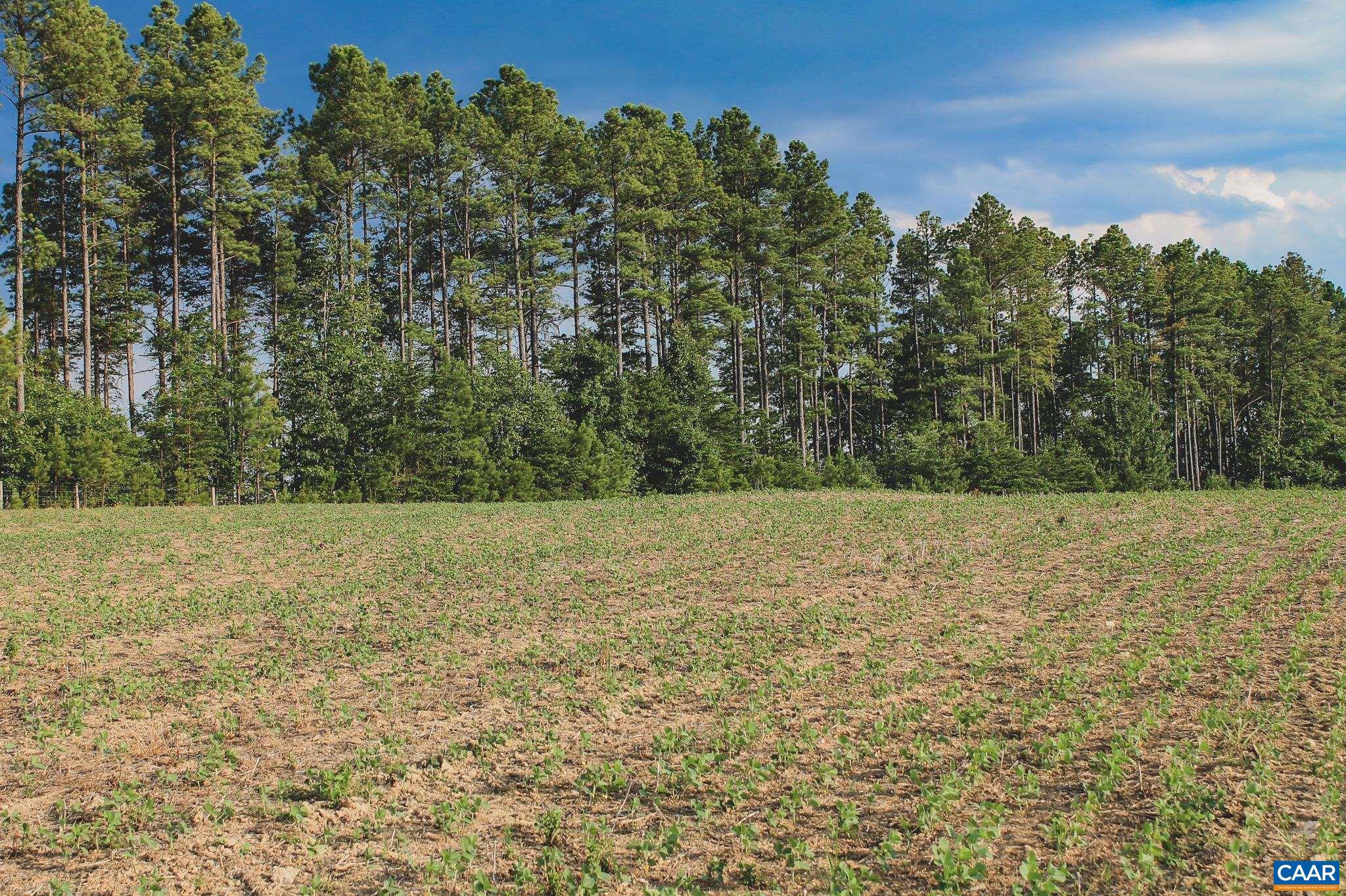 THE FARMS AT TURKEY RUN - Land