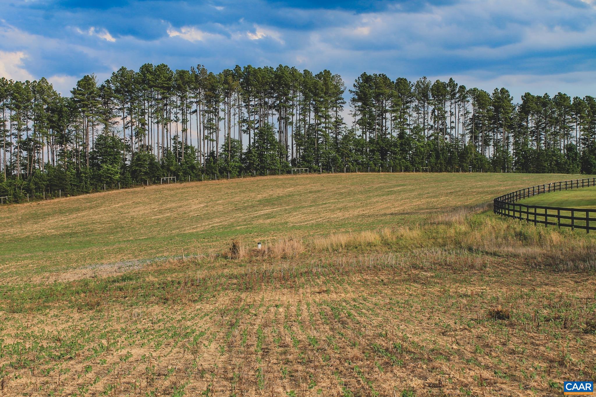 THE FARMS AT TURKEY RUN - Land
