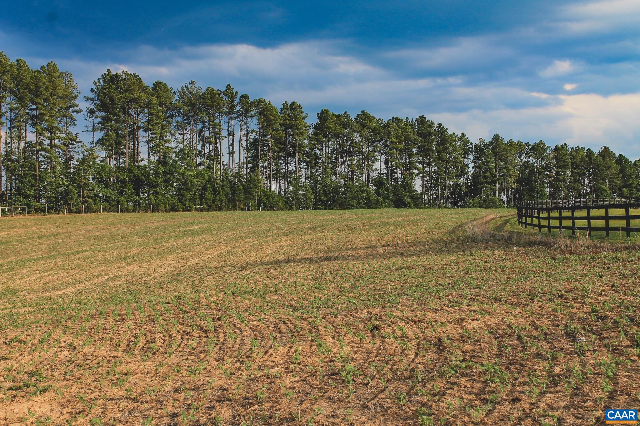 THE FARMS AT TURKEY RUN - Land