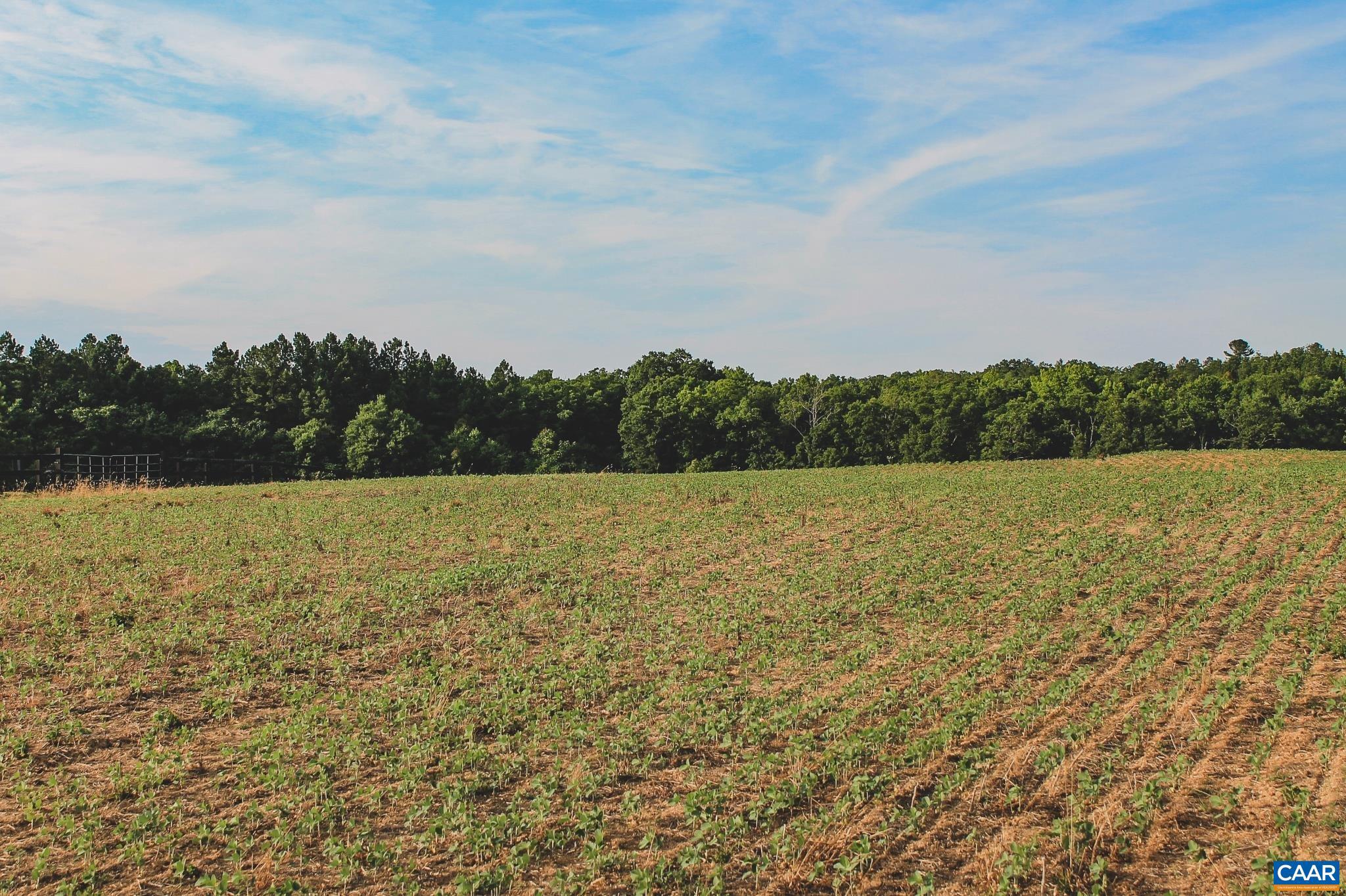THE FARMS AT TURKEY RUN - Land