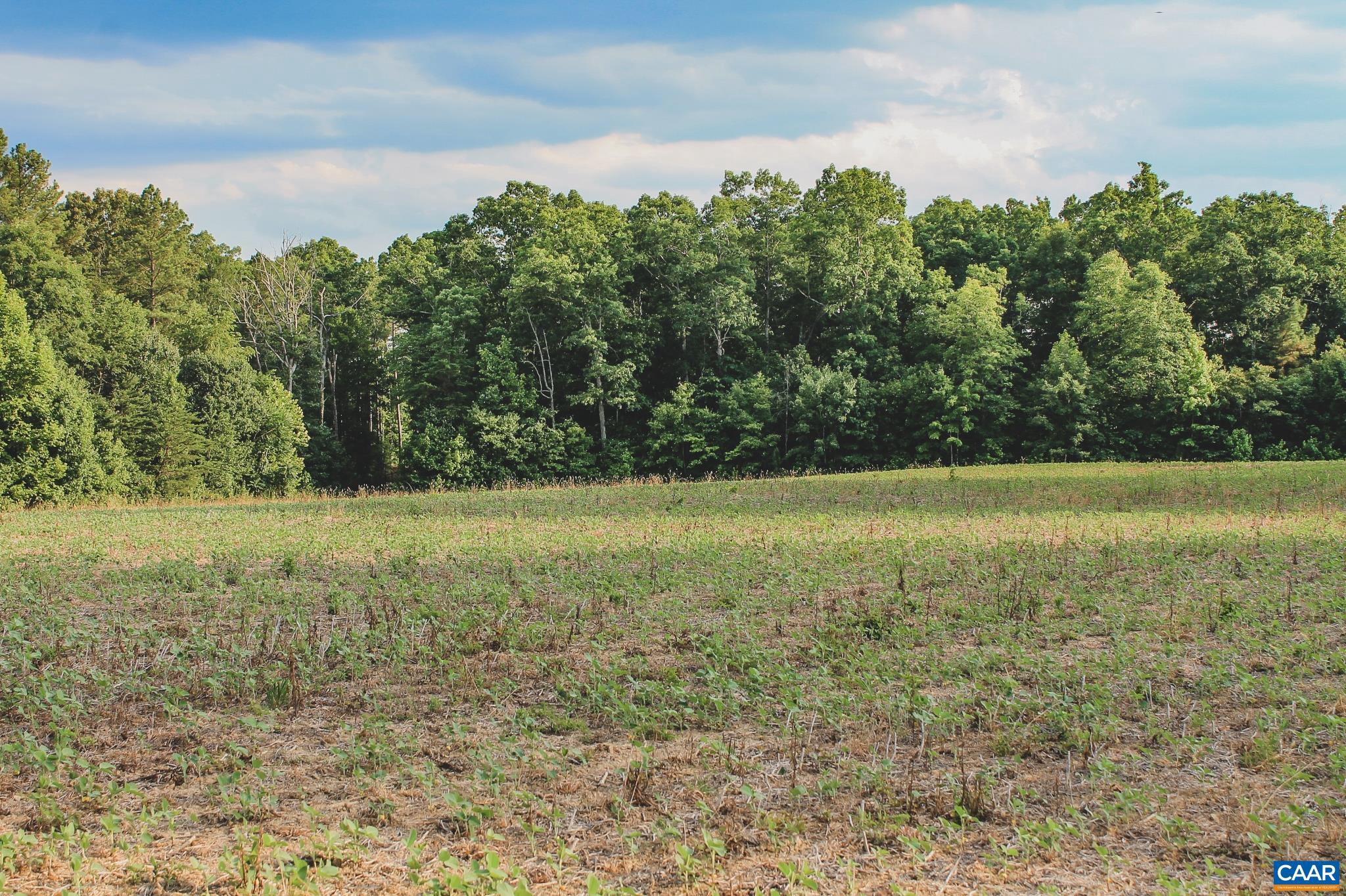THE FARMS AT TURKEY RUN - Land