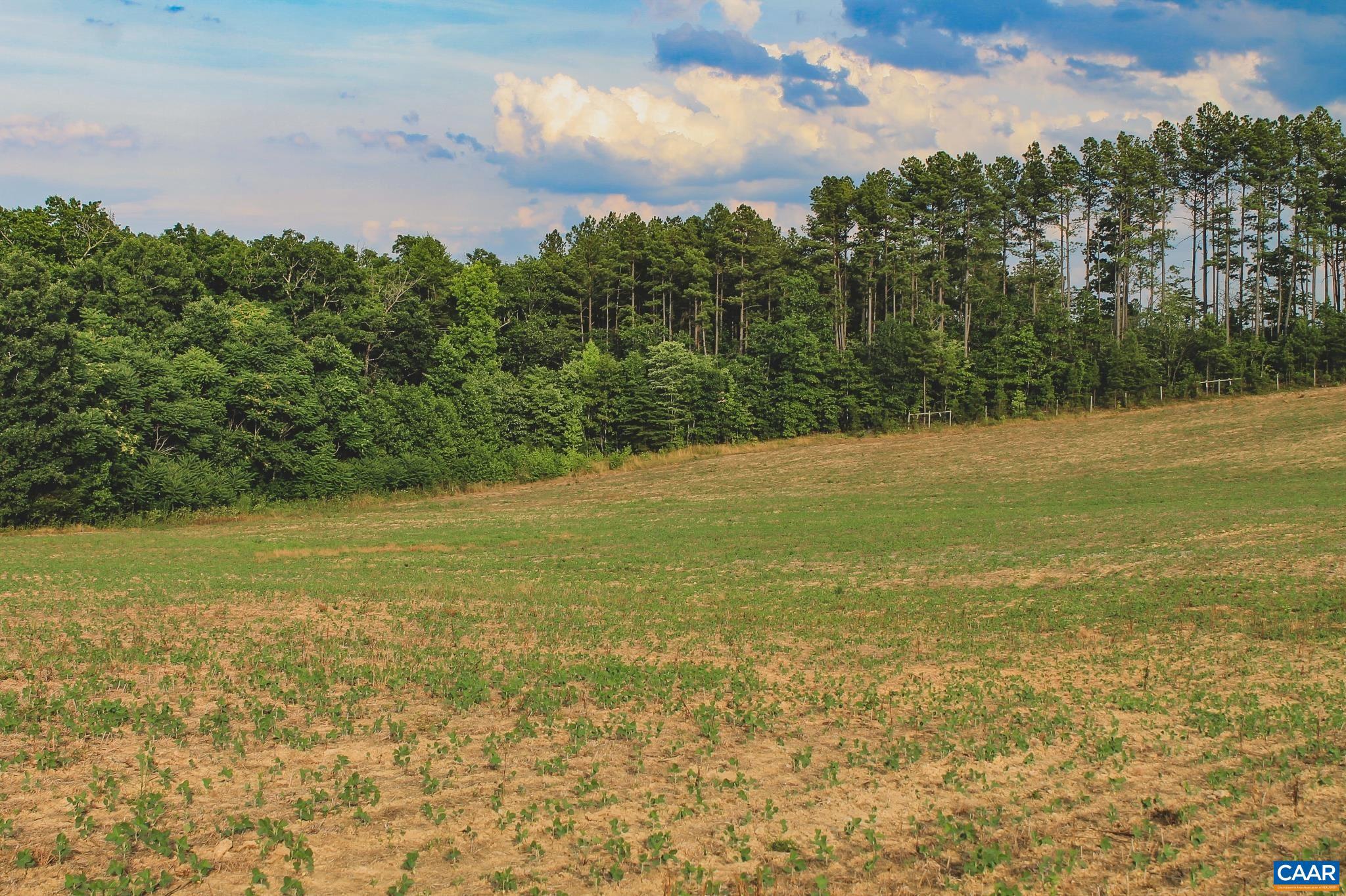 THE FARMS AT TURKEY RUN - Land