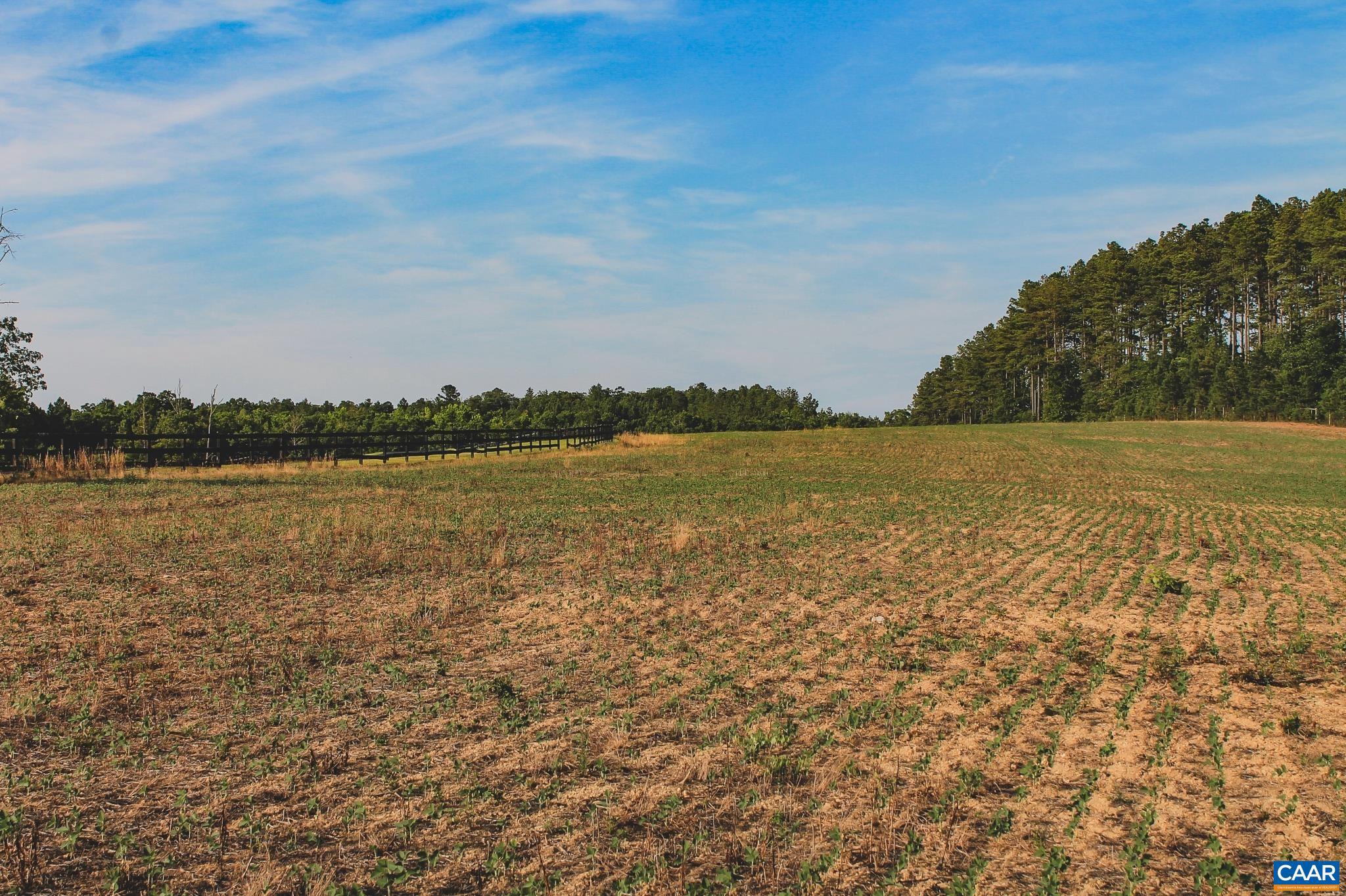 THE FARMS AT TURKEY RUN - Land