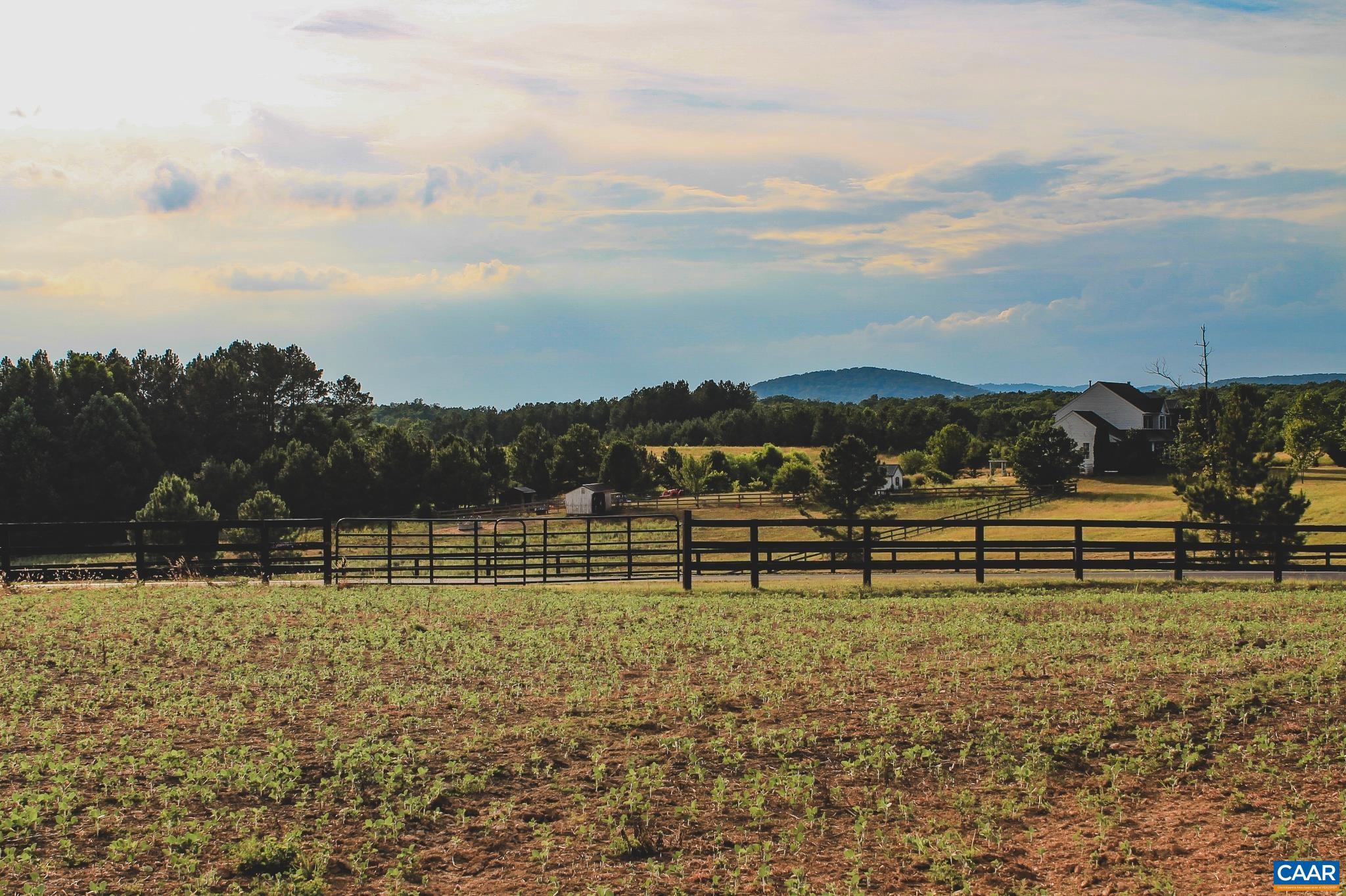 THE FARMS AT TURKEY RUN - Land